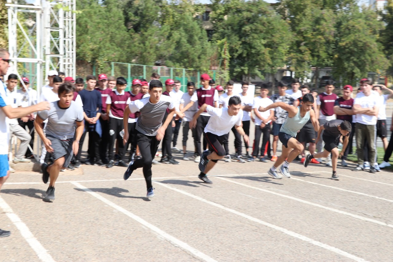 tassa1