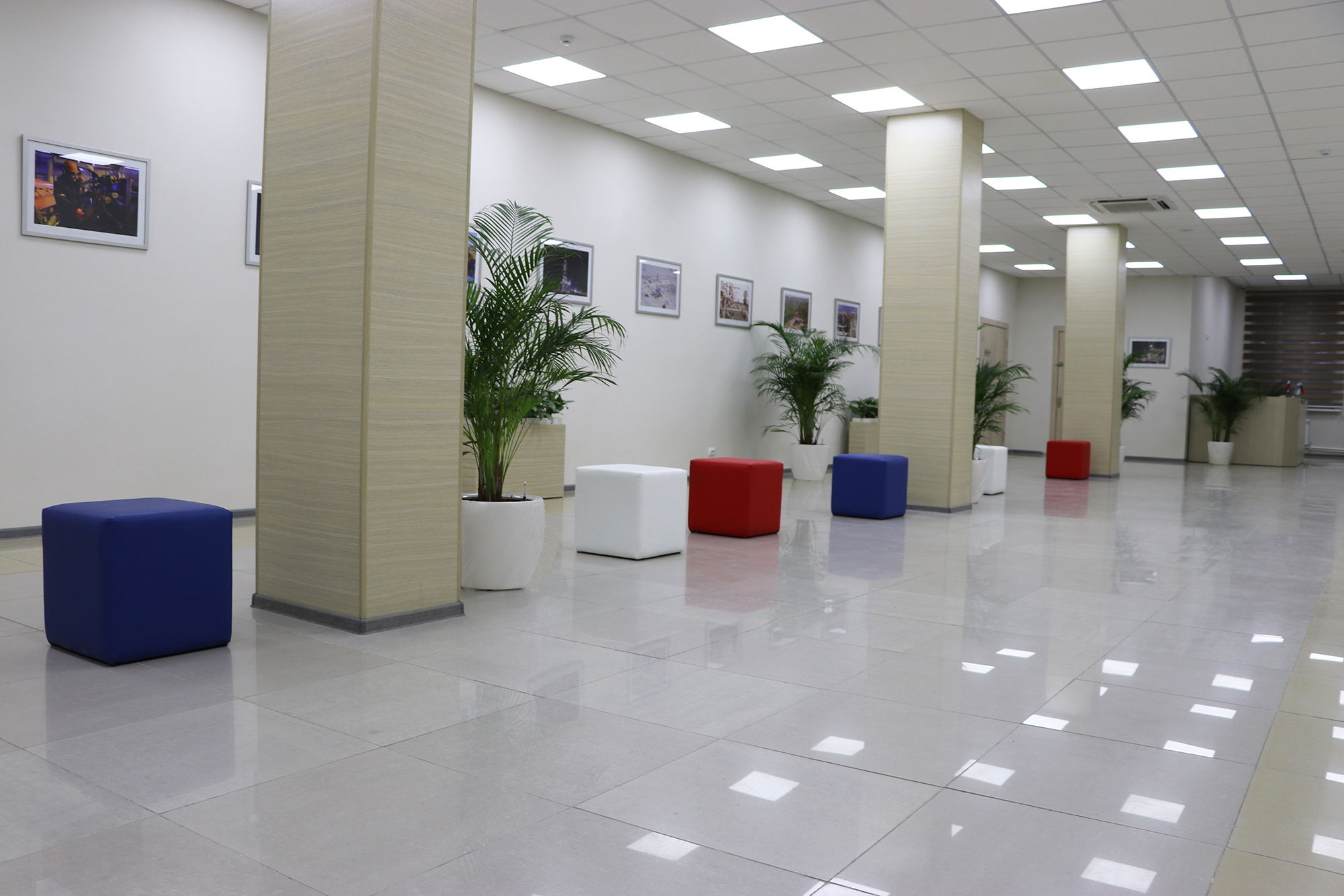 Lone Tree Yellowstone