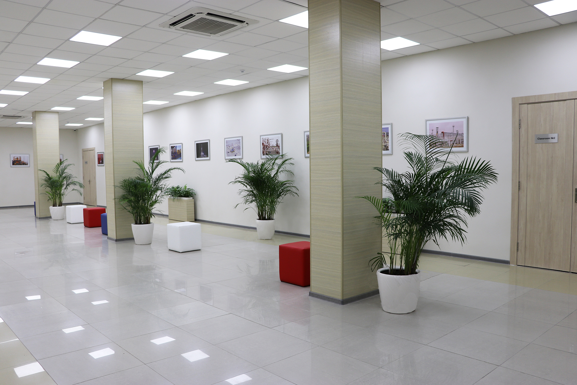 Lone Tree Yellowstone